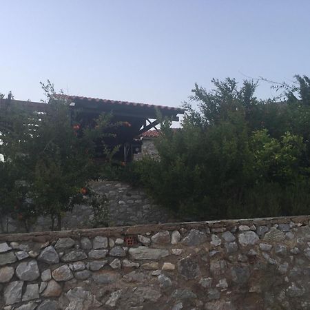 Pensjonat Lagadi 1860 Trakhila Zewnętrze zdjęcie